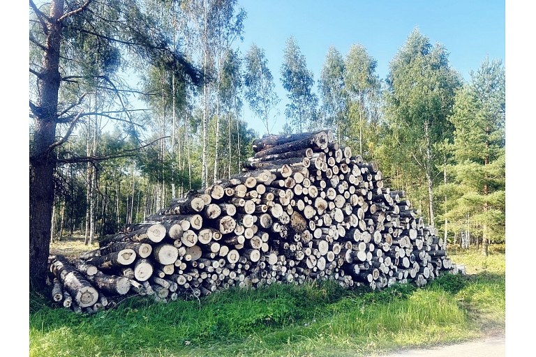 Harvester services Forwarder services